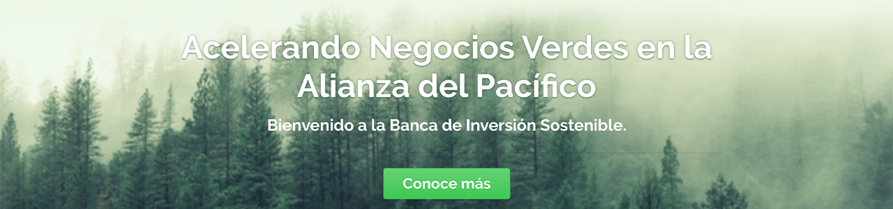 Banca de Inversión Sostenible