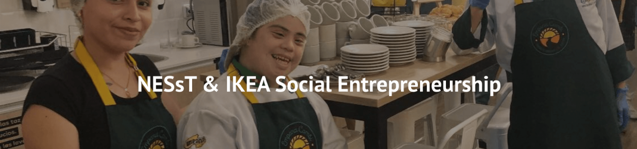 IKEA Social Entrepreneurship