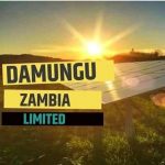Logo of Damungu Zambia Limited, Clean technology and energy venture on VC4A