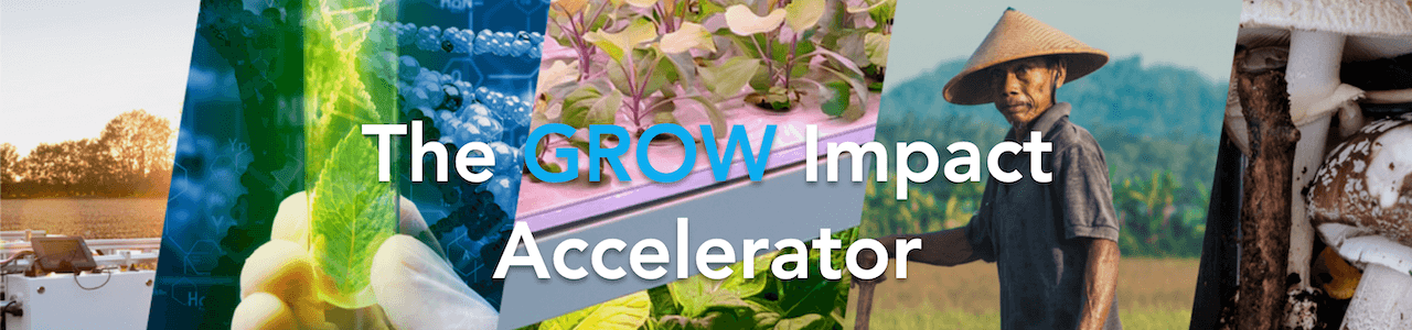 GROW Impact Accelerator 2021