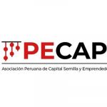 Partner Organization PECAP imagen de Pecap Logo
