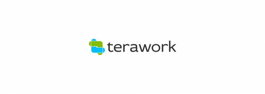Cover image of TERAWORK.COM LIMITED, E-commerce venture on VC4A