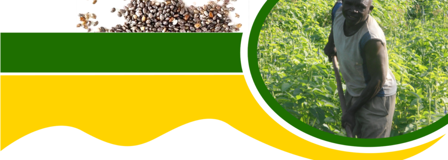 Cover image of SAGE UGANDA, Agribusiness venture on VC4A