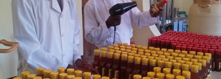 Cover image of AfriLife Products, Agribusiness venture on VC4A