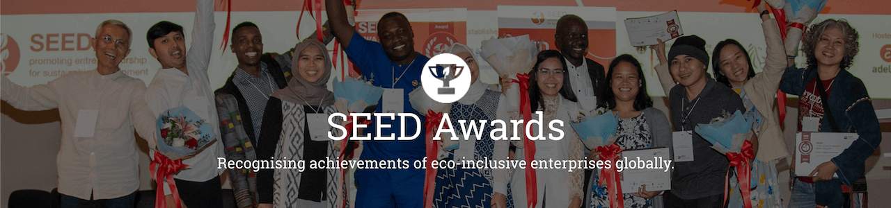 SEED Awards 2021