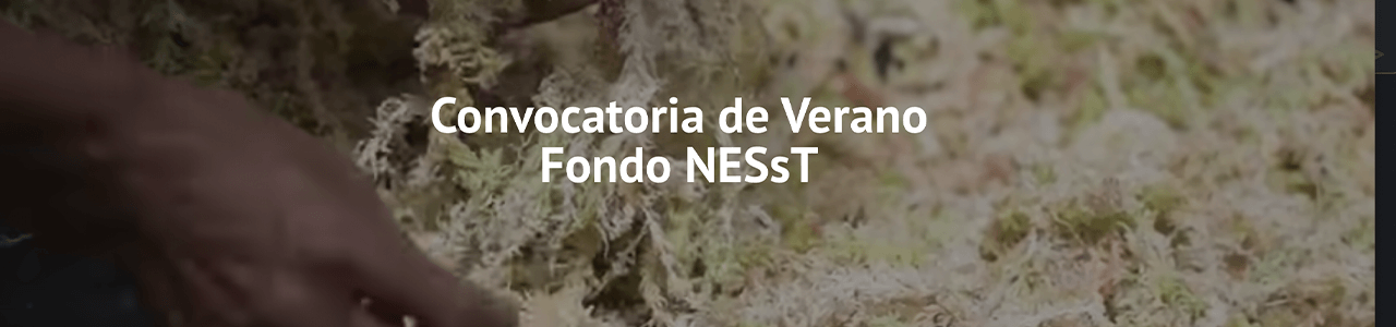 Fondo NESsT