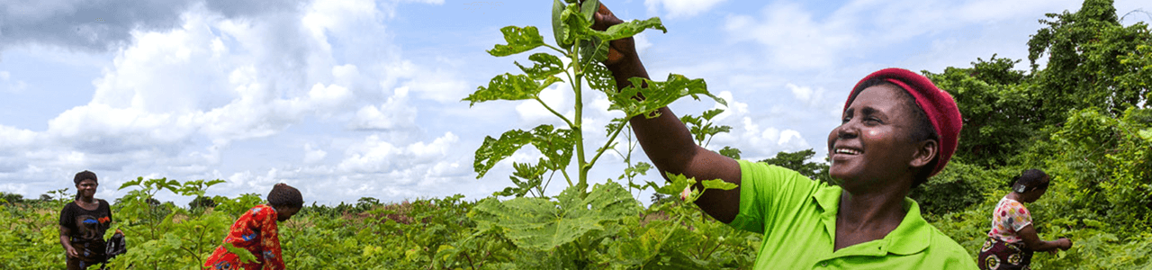 International Fund for Agricultural Development (IFAD)