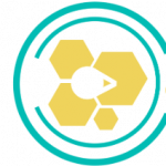 Partner Organization Colectiva image of Logo Color Coelctiva Nv