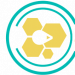 Partner Organization Colectiva image of Logo Color Coelctiva Nv
