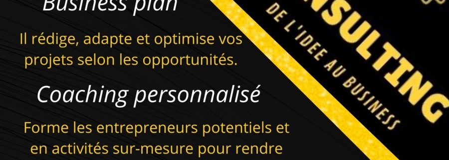 Cover image of LUBA consulting, Business services venture on VC4A
