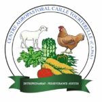 Logo of Capas, Agribusiness venture on VC4A