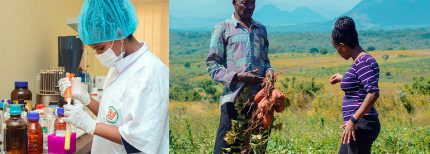 Post Profile Tackling hidden hunger in Tanzania with biofortified foods image of Sanativa