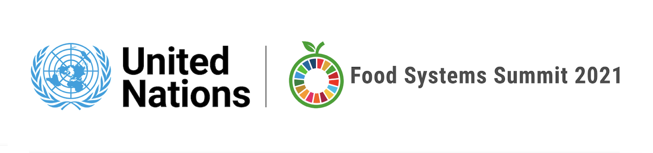 UN Food Systems Summit