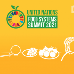 SMEs’ time to shine at the UN Good Food for All competition