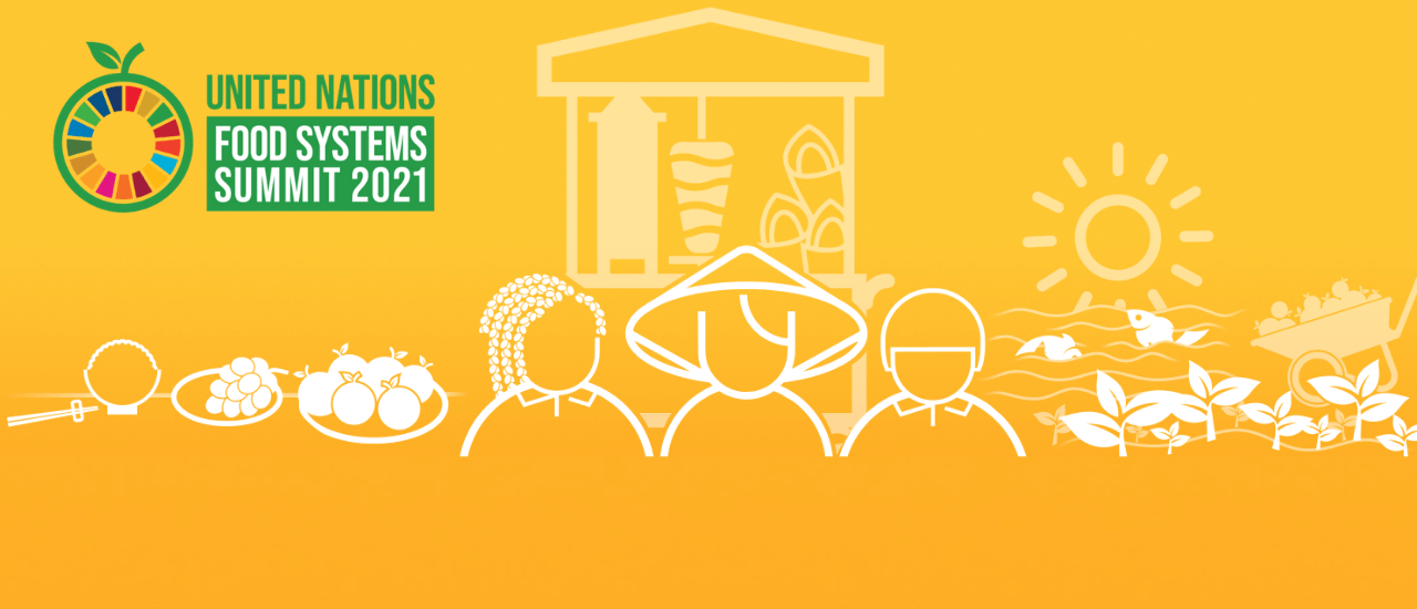 SMEs’ time to shine at the UN Good Food for All competition
