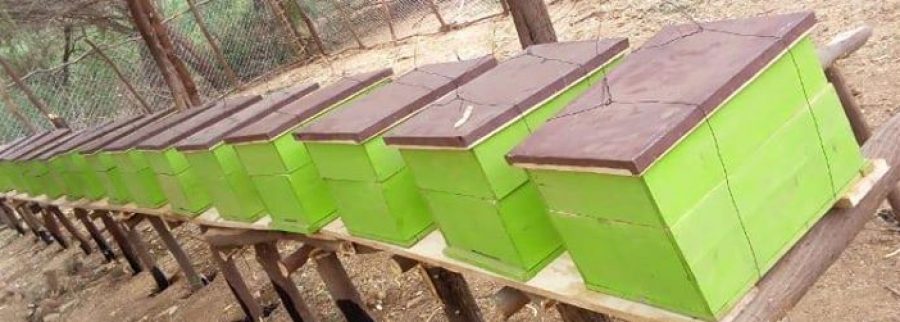 Cover image of Patvention Recycling Enterprise, Agribusiness venture on VC4A