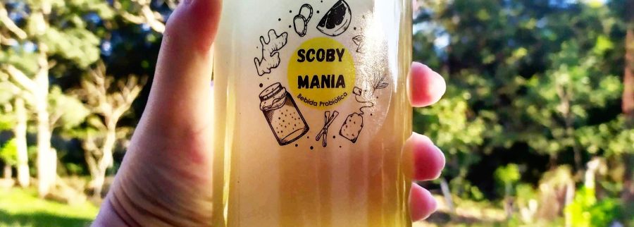 Cover image of Scoby Mania, Food and beverage venture on VC4A