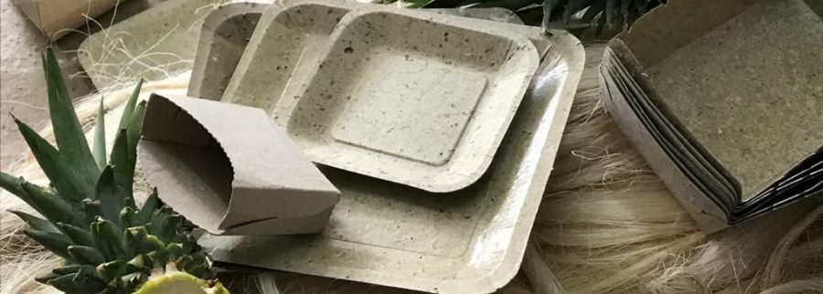 Cover image of Plantpack by Lifepack, Agritech venture on VC4A