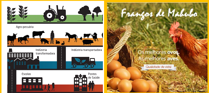 Cover image of Frangos de Mahubo Agropecuaria Lda, Animal farming venture on VC4A
