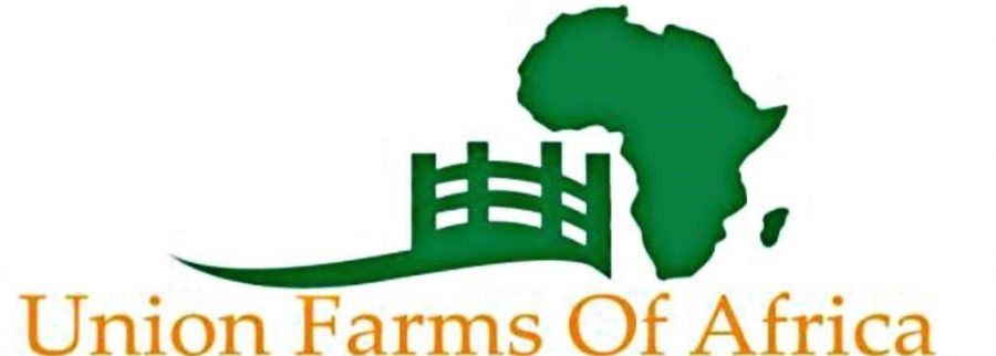 Cover image of Union Farms of Africa (UFA), Animal farming venture on VC4A