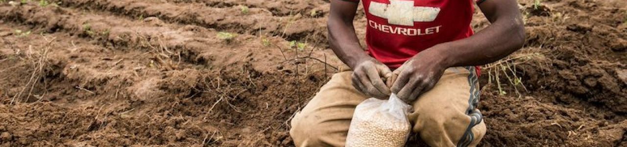 USAID/Nigeria COVID-19 Food Security Challenge 2021