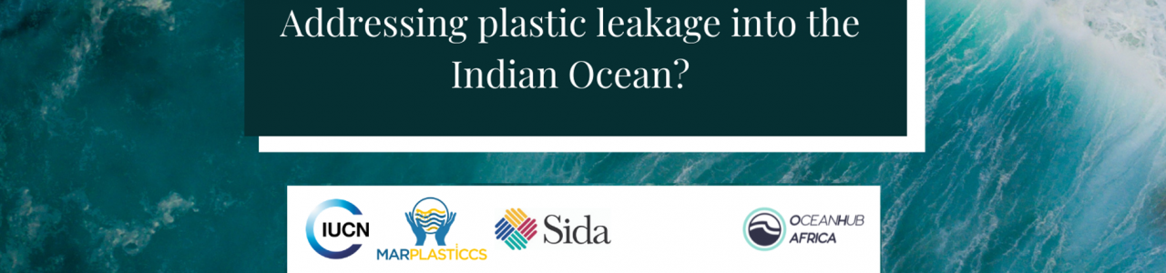 IUCN – Circular Plastic Economy Innovation Lab