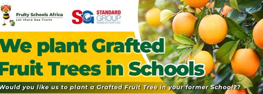 Cover image of FRUITY SCHOOLS AFRICA, Crop farming venture on VC4A