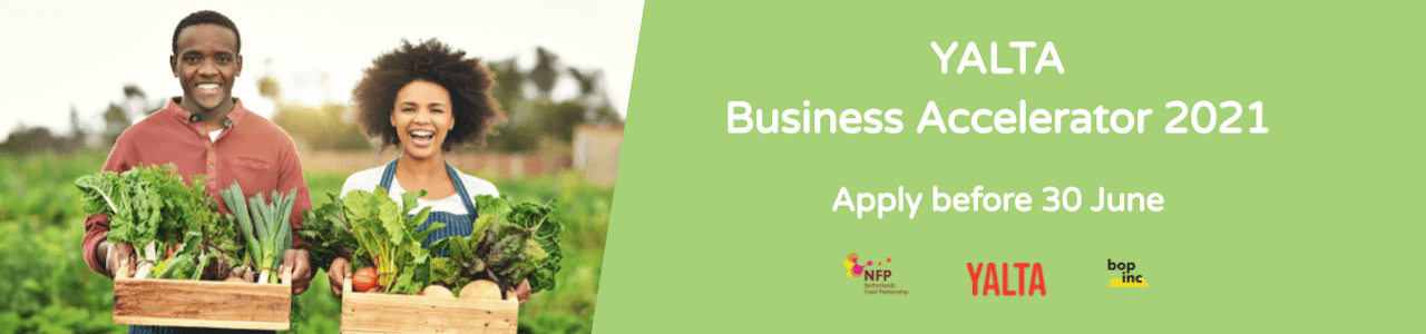 YALTA Business Accelerator