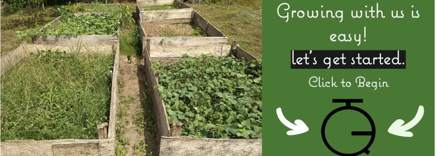 Cover image of Growtech International Services Limited, Agribusiness venture on VC4A