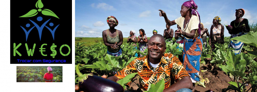 Cover image of Ketal Angola LDA, Agribusiness venture on VC4A