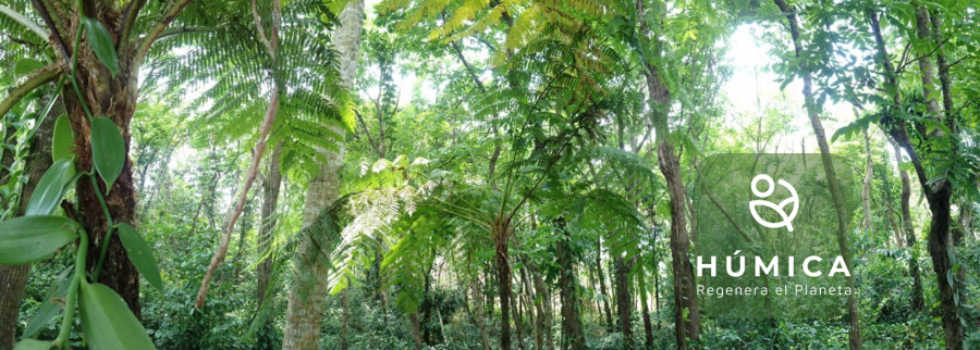 Cover image of Húmica, Agribusiness venture on VC4A