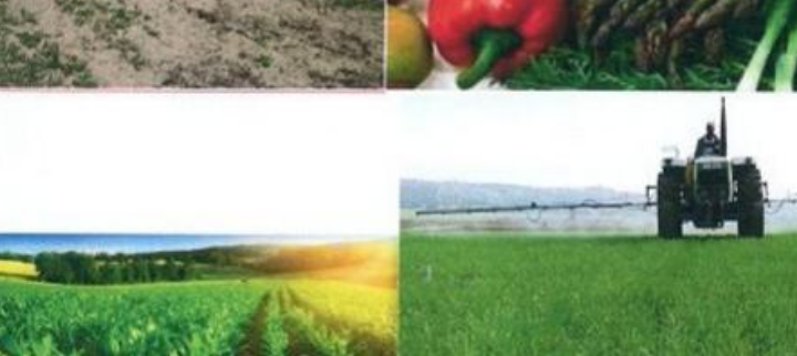 Cover image of Espoir Distribution EDI Mali, Agribusiness venture on VC4A