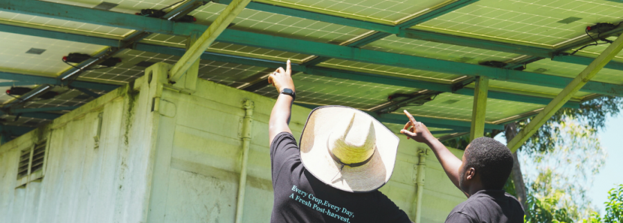 Cover image of AgroTech+, Agribusiness venture on VC4A