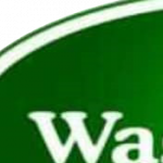 Logo of Wage Spices, Crop farming venture on VC4A