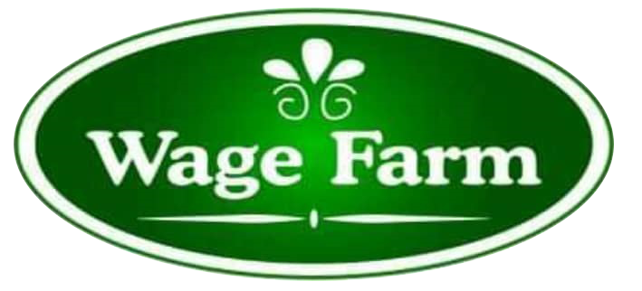 Cover image of Wage Spices, Crop farming venture on VC4A