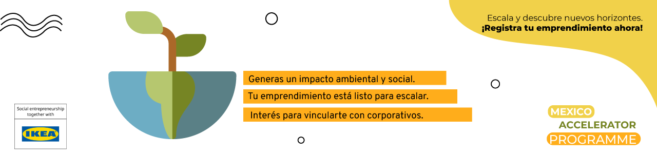 Mexico Accelerator Programme 2021