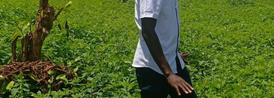 Cover image of Gordon's Agricultural Organisation -Uganda(GAO-UG), Agribusiness venture on VC4A