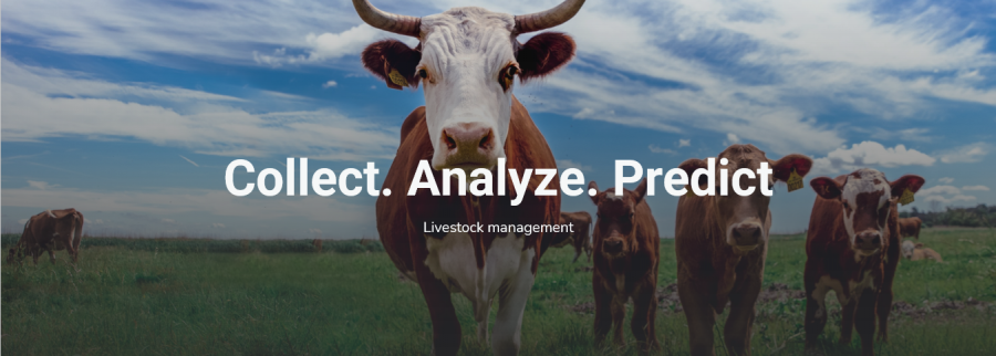 Cover image of Imfuyo Technologies, Animal farming venture on VC4A