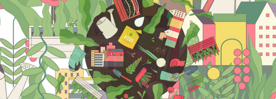 Cover image of El Rincón Verde, Crop farming venture on VC4A