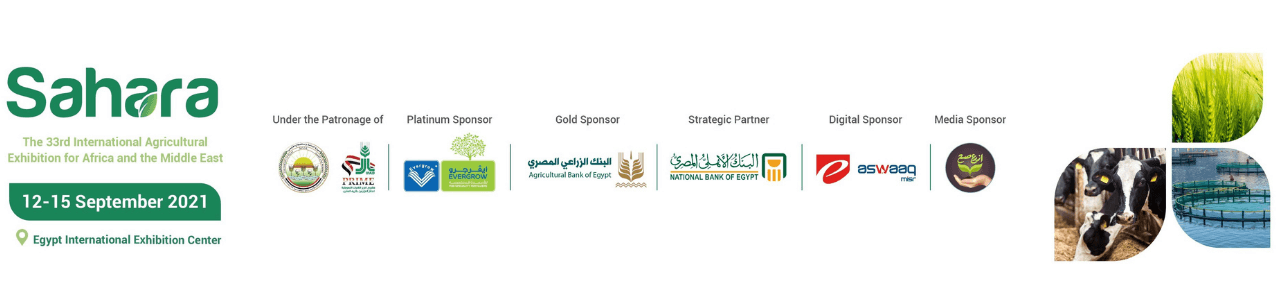 Sahara Expo 2021