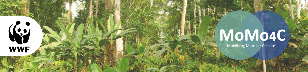 Mobilising More for Climate #MoMo4C – Cameroon