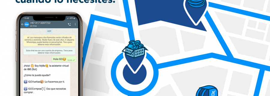Cover image of Igo, E-commerce venture on VC4A