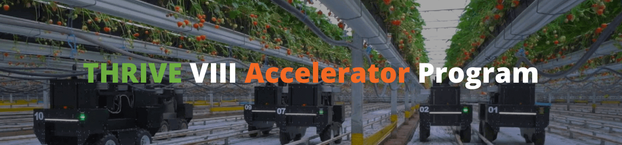 THRIVE VIII Accelerator Program