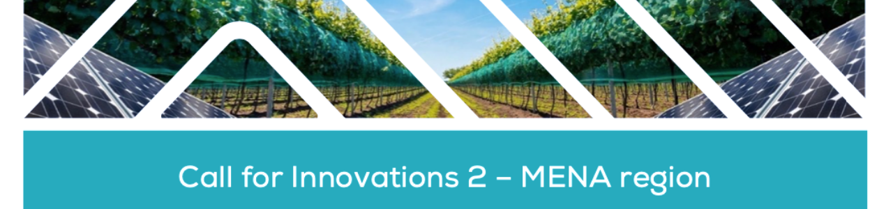 WE4F MENA Call For Innovations 2 – 2021