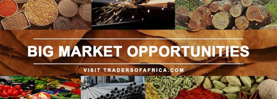 Cover image of Traders of Africa - TOFA, Agribusiness venture on VC4A