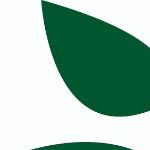 Logo of Tecnibio S.A., Accounting services venture on VC4A