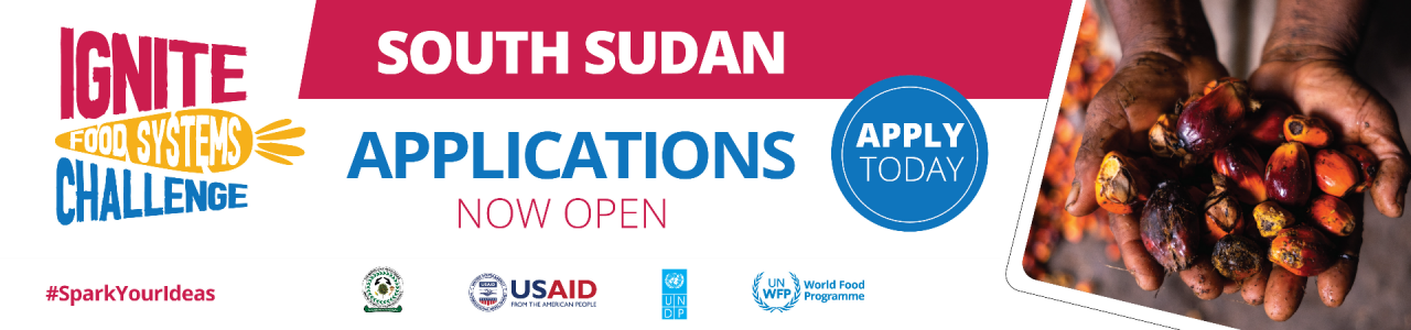 WFP IGNITE Food Systems Challenge South Sudan