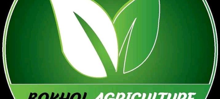 Cover image of GIE Bokhol Agriculture, Crop farming venture on VC4A