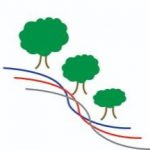 Logo of Aredbosque, Environmental services venture on VC4A