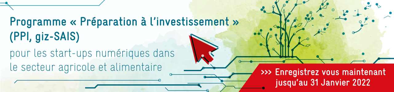 SAIS Investment Readiness Programme 2022 – Francophone